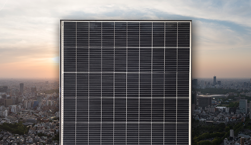  Tarka 80 VSMP | 405w 